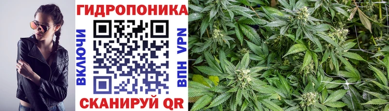 KRAKEN маркетплейс  Фатеж  Конопля OG Kush 